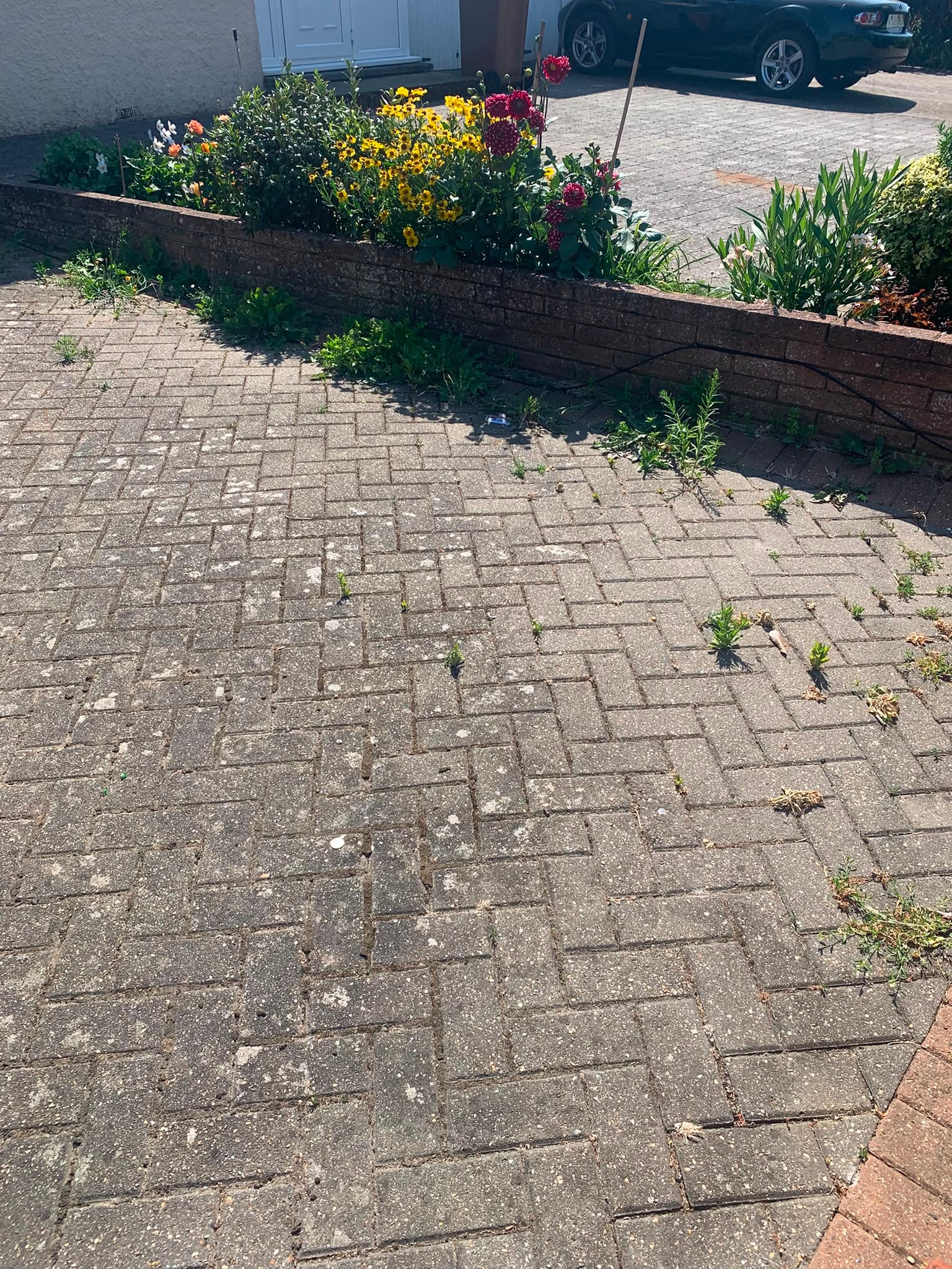 Block paving driveway with weeds before pressure washing in Epsom